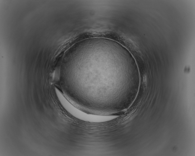 X0000090431300200708031120