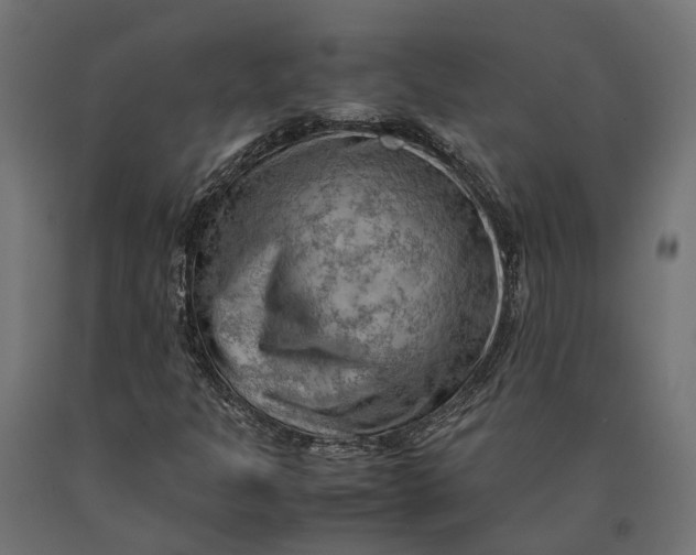 X0000090431301200708031120