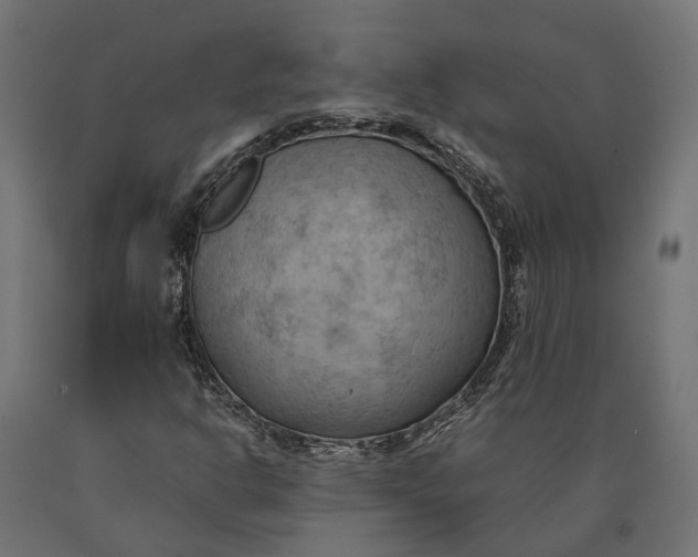 X0000090431302200708031120