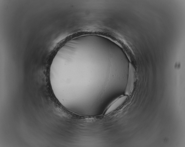 X0000090431304200708031120