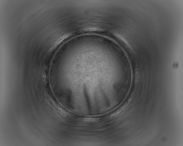 X0000090431305200708031120