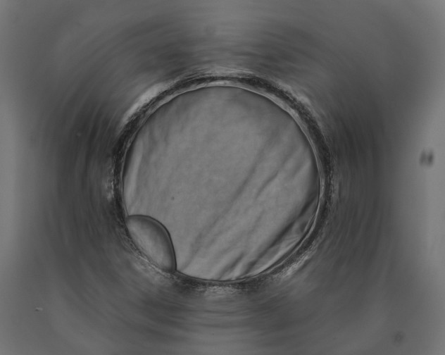 X0000090431306200708031120