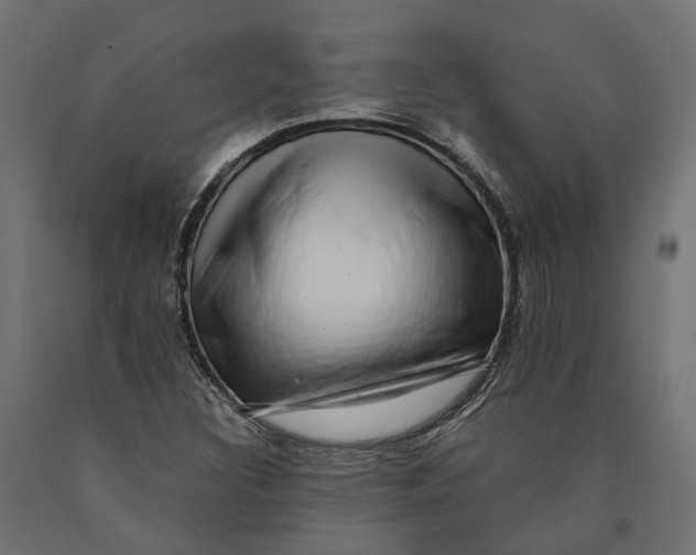 X0000090431308200708031120