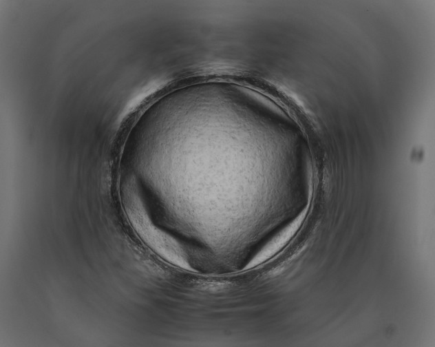 X0000090431309200708031120