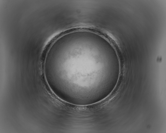 X0000090431310200708031120