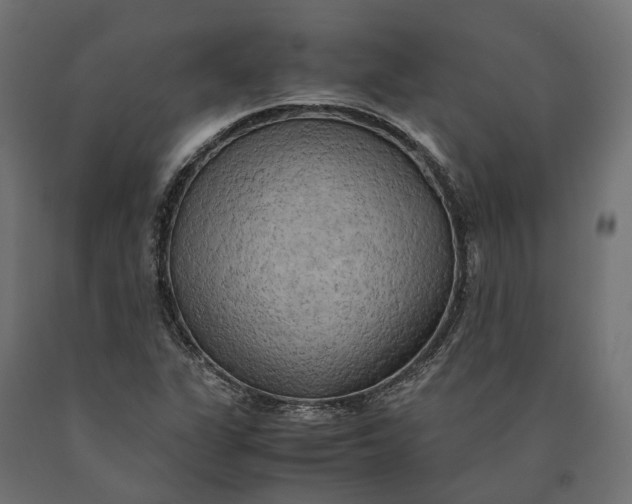 X0000090431311200708031120