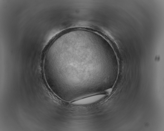 X0000090431312200708031120