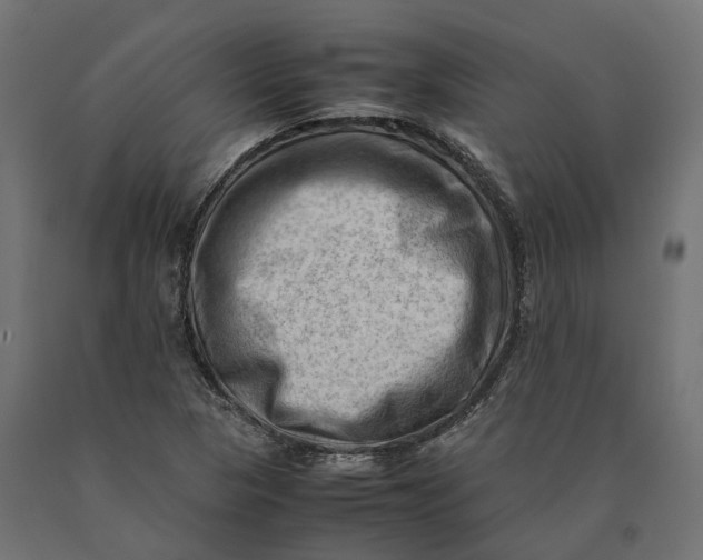 X0000090431313200708031120