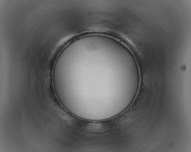 X0000090431315200708031120