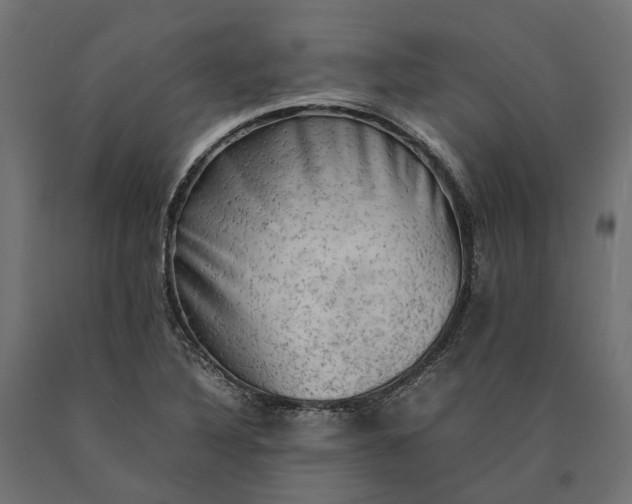 X0000090431316200708031120