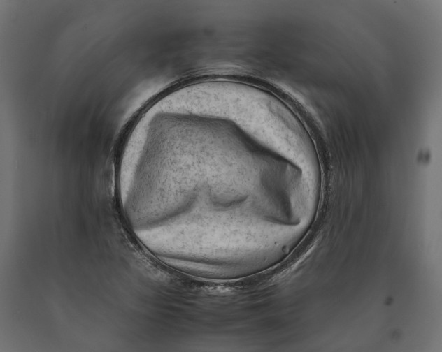 X0000090431317200708031120