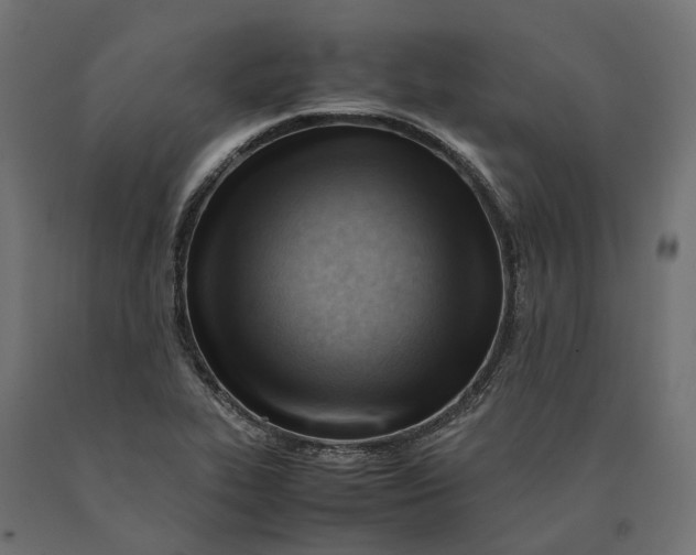 X0000090431319200708031120