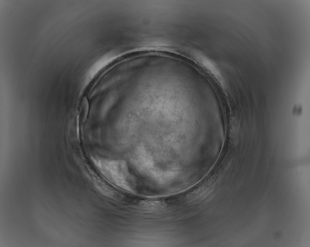 X0000090431320200708031120