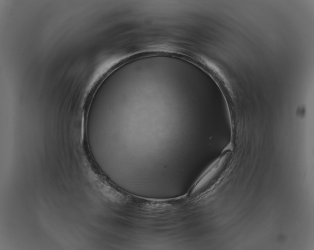 X0000090431323200708031120