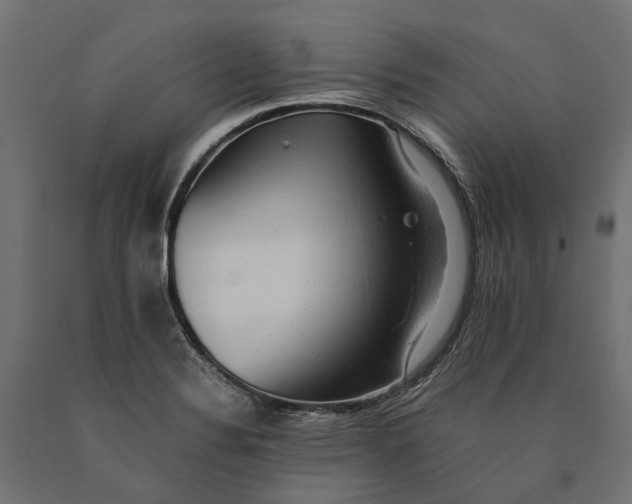 X0000090431324200708031120