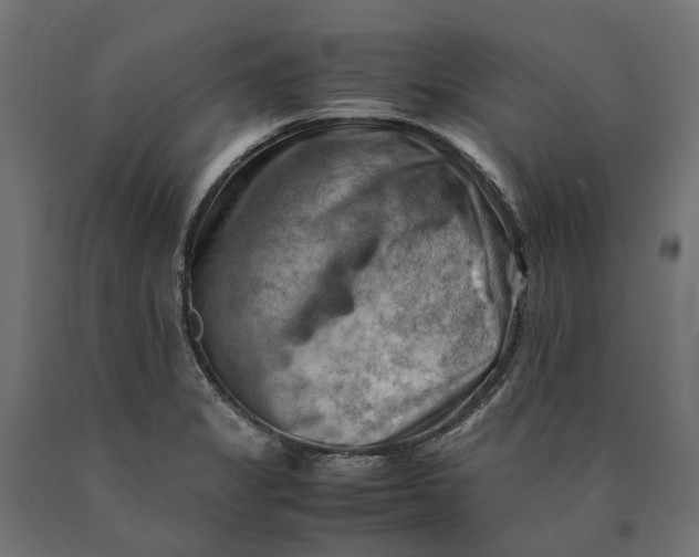 X0000090431325200708031120