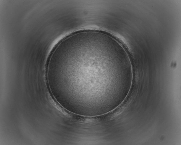 X0000090431326200708031120