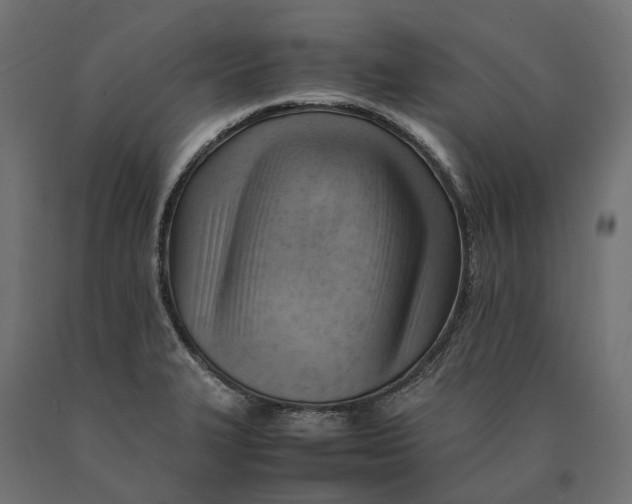 X0000090431327200708031120