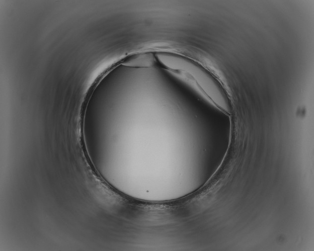 X0000090431328200708031120