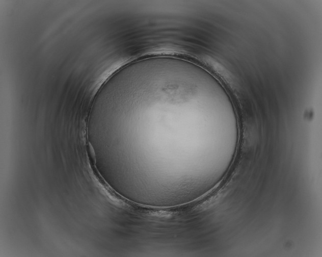 X0000090431329200708031120