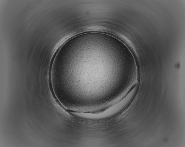 X0000090431330200708031120