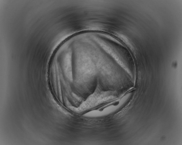 X0000090431331200708031120