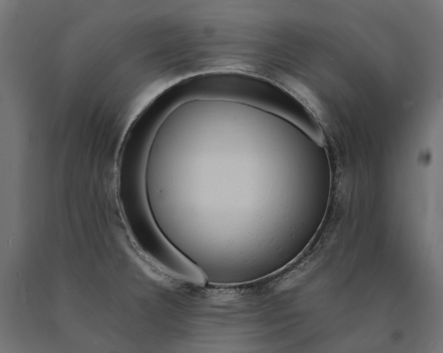 X0000090431332200708031120