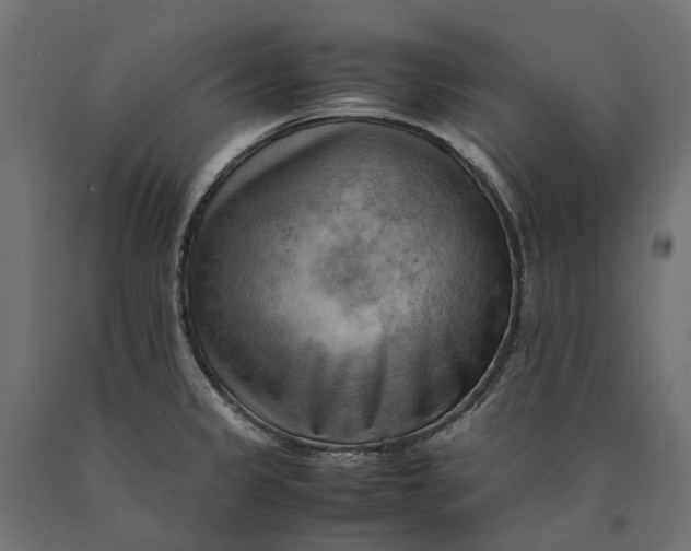 X0000090431333200708031120