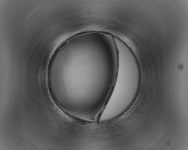 X0000090431334200708031120