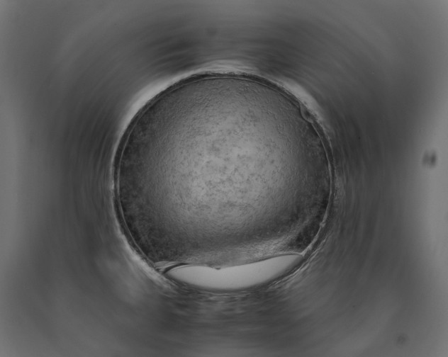 X0000090431335200708031120