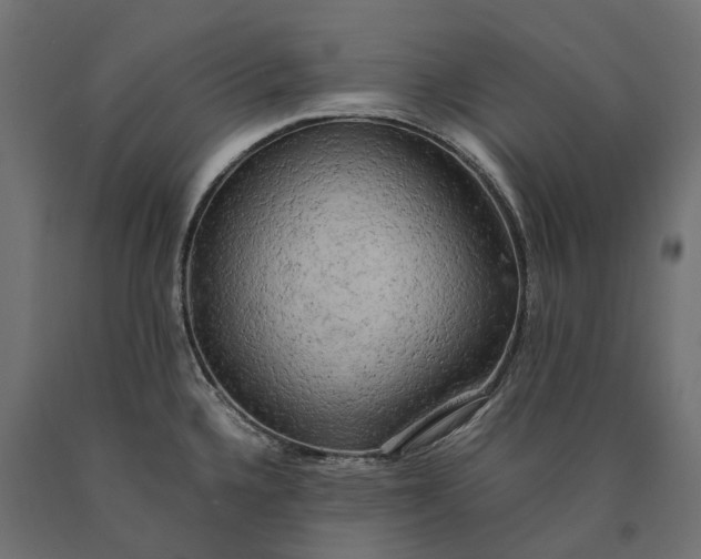 X0000090431336200708031120