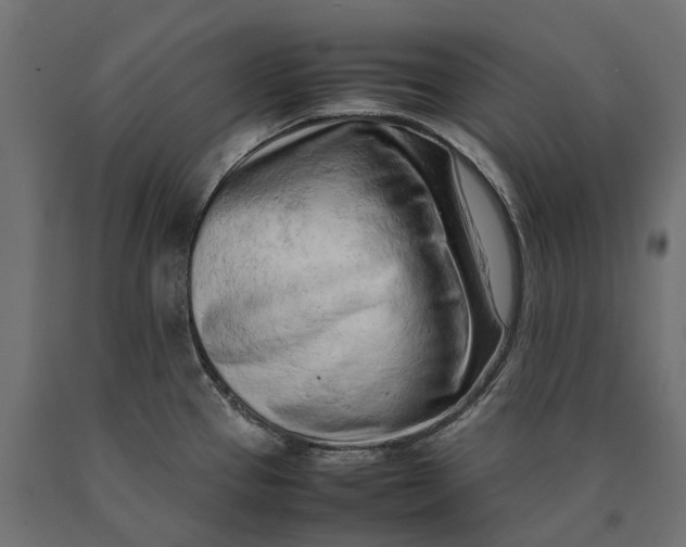 X0000090431337200708031120