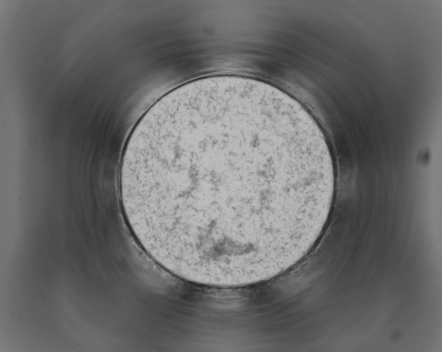 X0000090431338200708031120