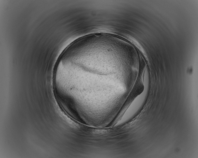 X0000090431339200708031120