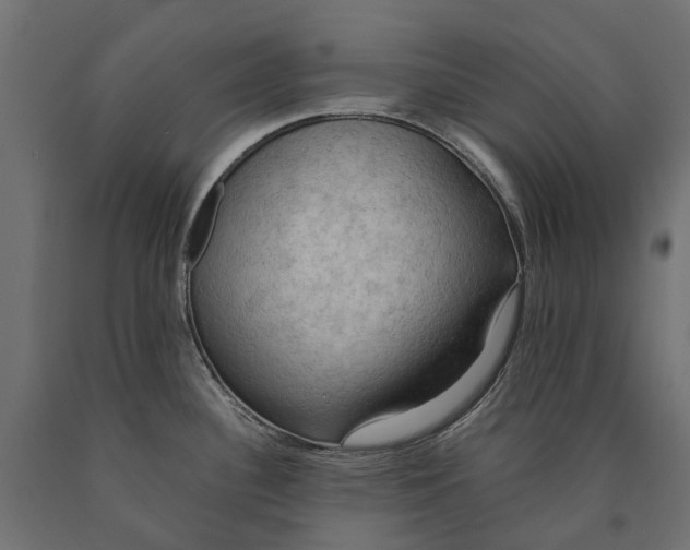 X0000090431340200708031120