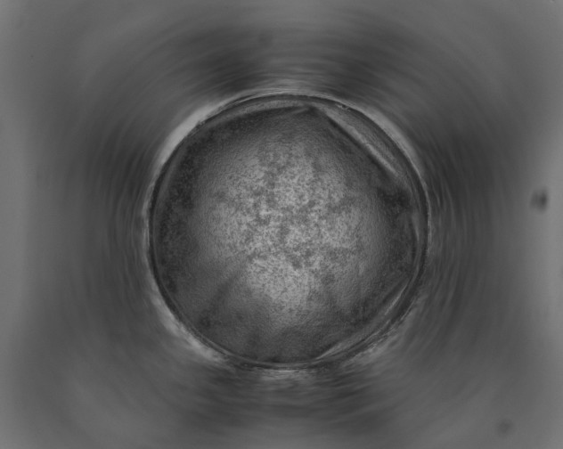 X0000090431341200708031120