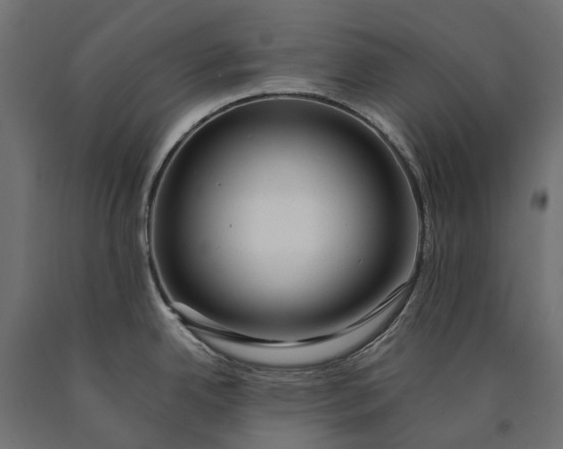 X0000090431342200708031120