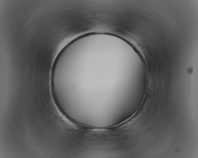 X0000090431343200708031120