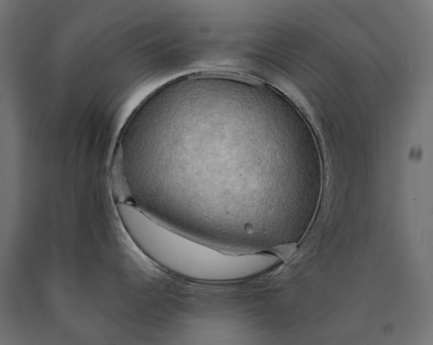 X0000090431344200708031120