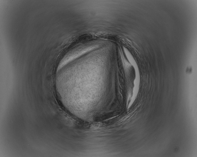 X0000090431345200708031120