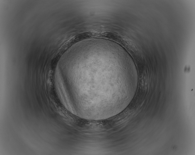 X0000090431346200708031120