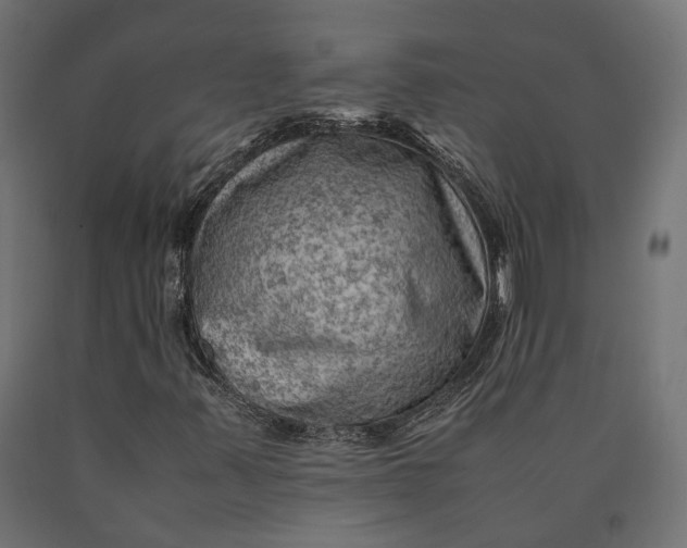 X0000090431347200708031120