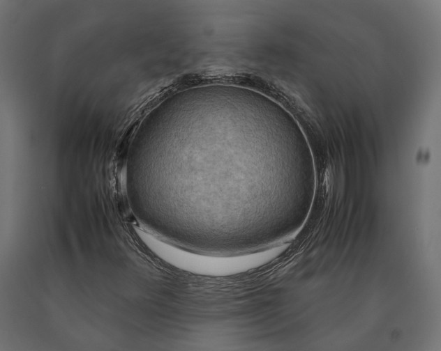 X0000090431348200708031120