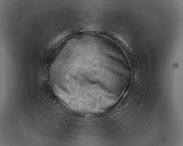 X0000090431350200708031120