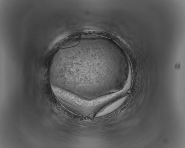 X0000090431351200708031120