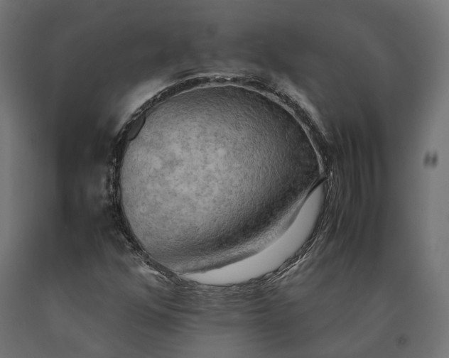 X0000090431352200708031120