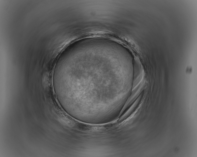 X0000090431353200708031120