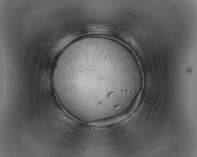 X0000090431354200708031120