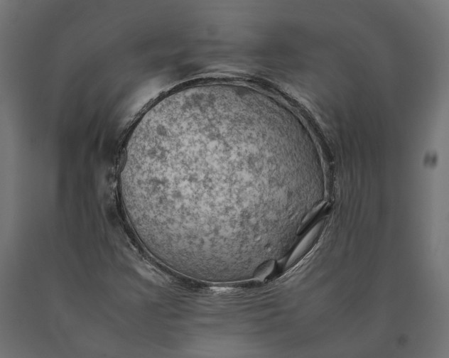 X0000090431355200708031119