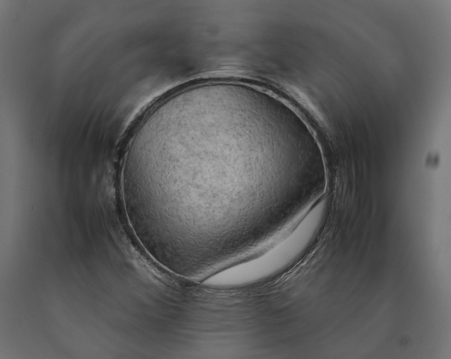 X0000090431356200708031119